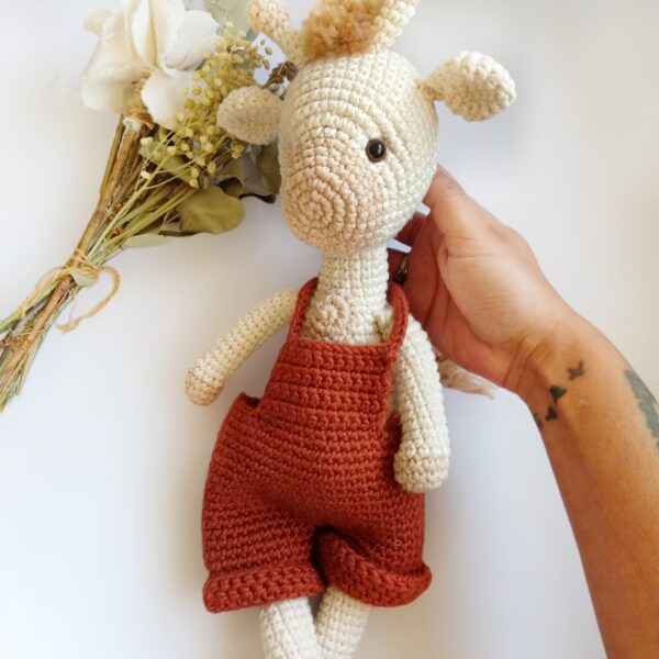 Enterito para todos los amigurumis nina