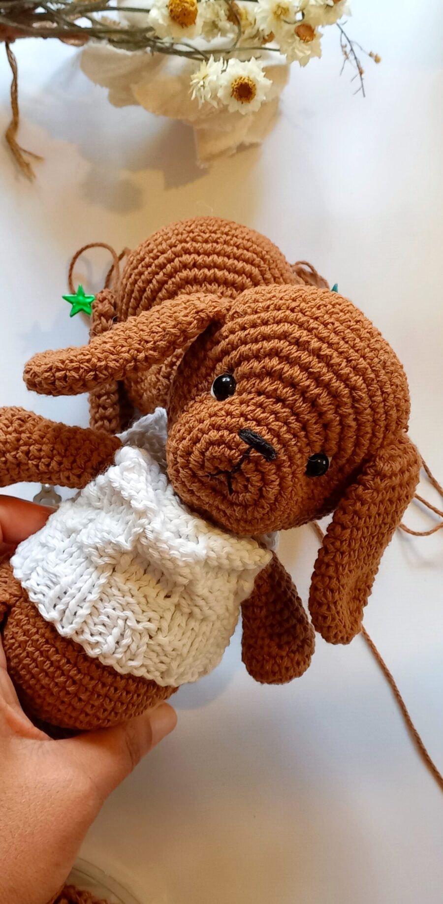 Curso de perritos ( premium ) - Imagen 6