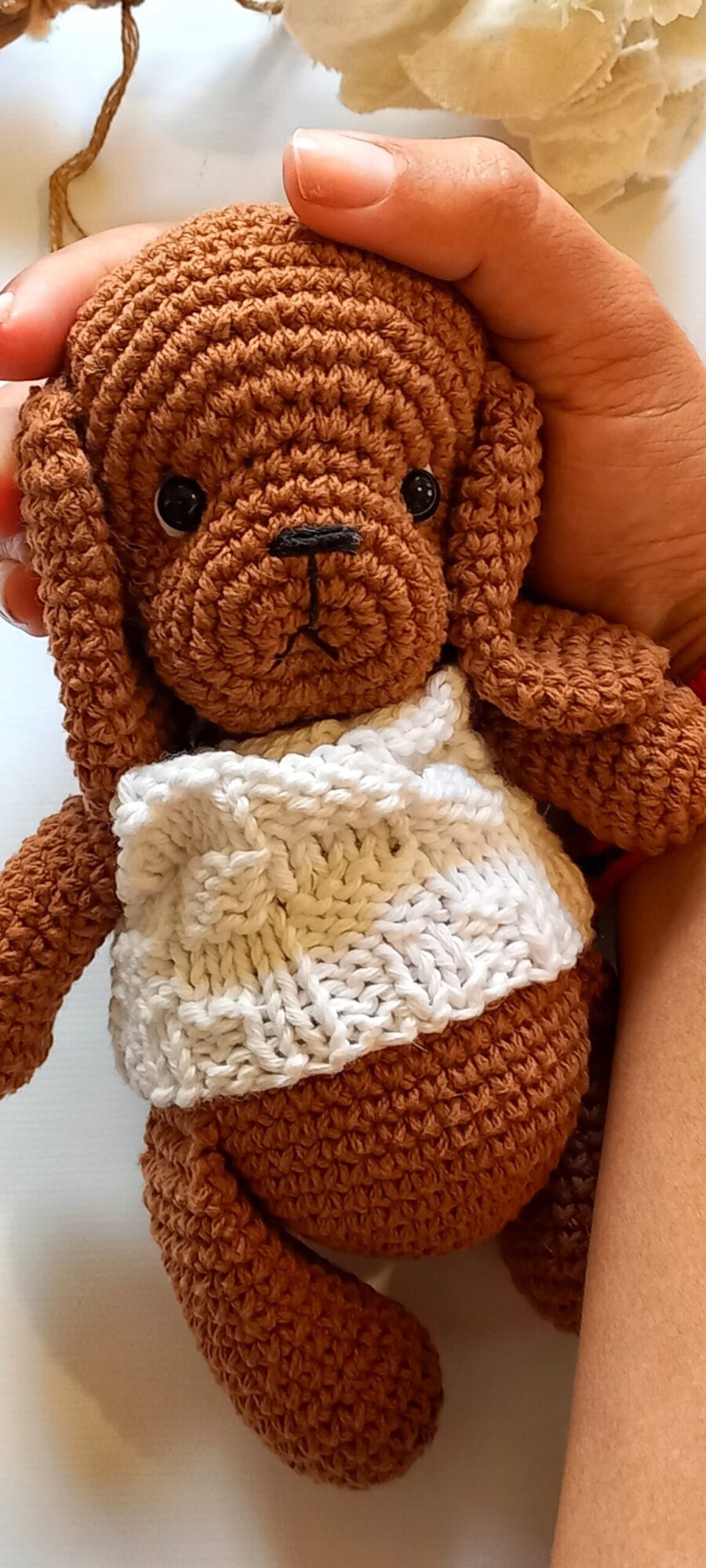 Curso perritos ( básico) - Imagen 4