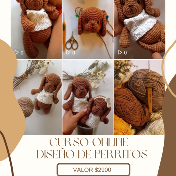 Curso perritos ( básico)