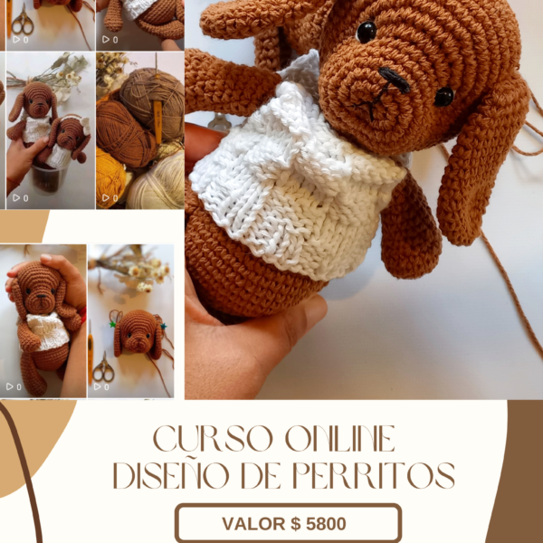 Curso de perritos ( premium )