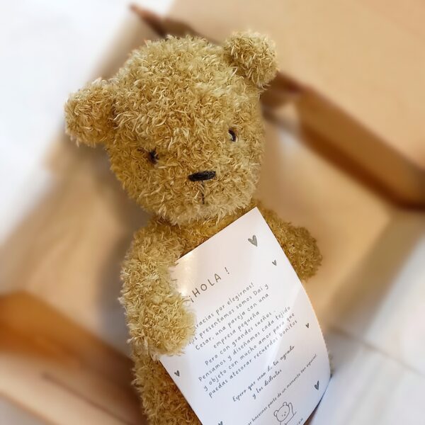 Baby teddy osito
