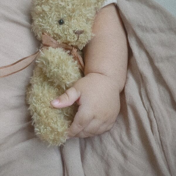 osito teddy bebé