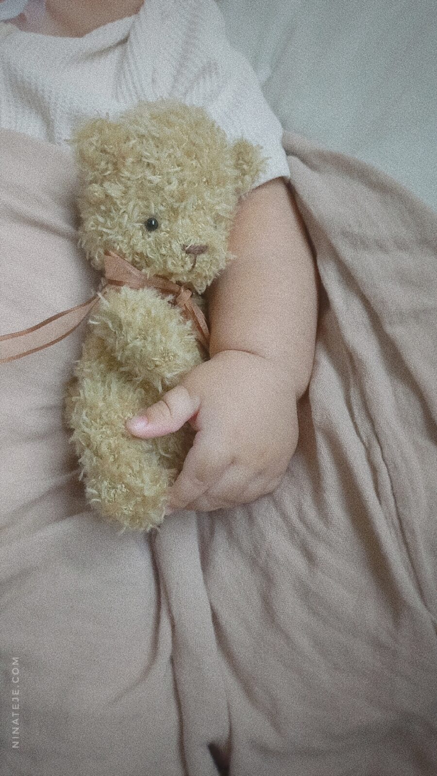 osito teddy bebé