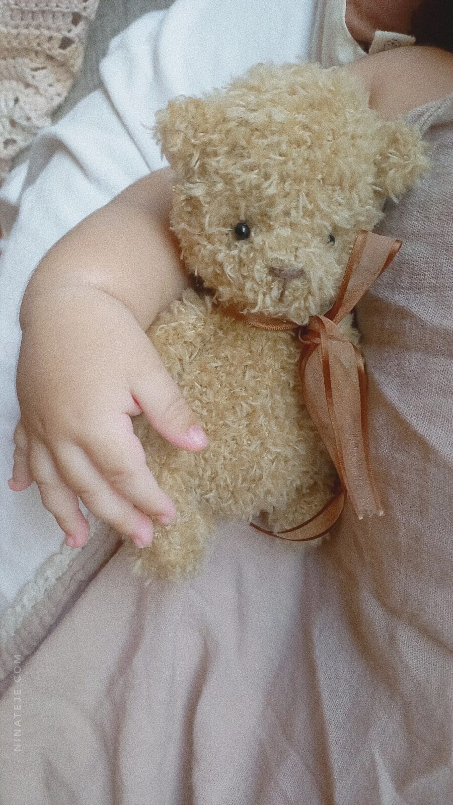 osito teddy bebé - Imagen 3