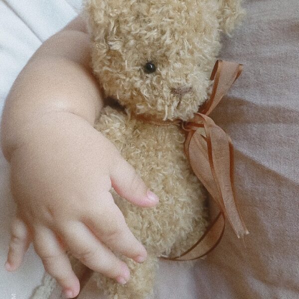 Osito bebe teddy