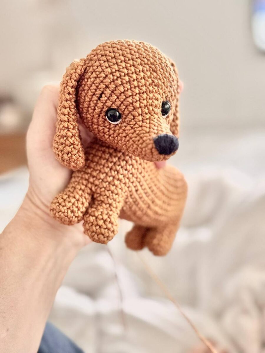 Perro Salchicha - Imagen 7