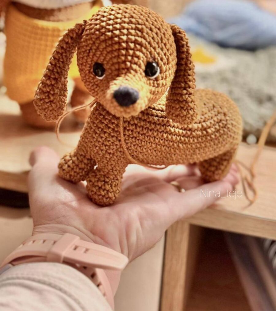 Perro Salchicha - Imagen 4