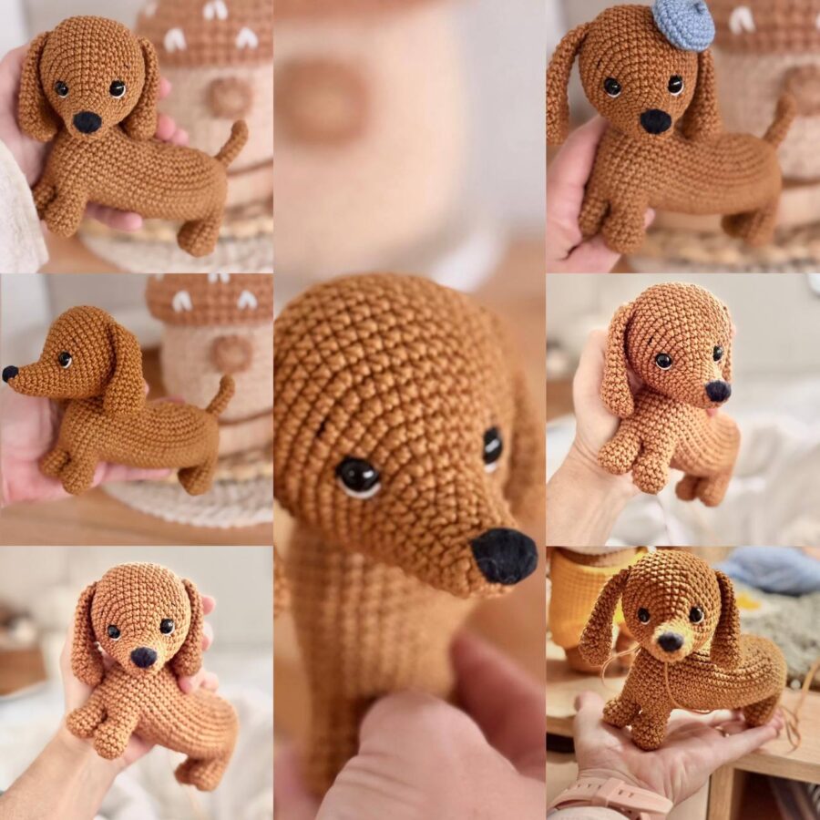 Perro Salchicha - Imagen 2
