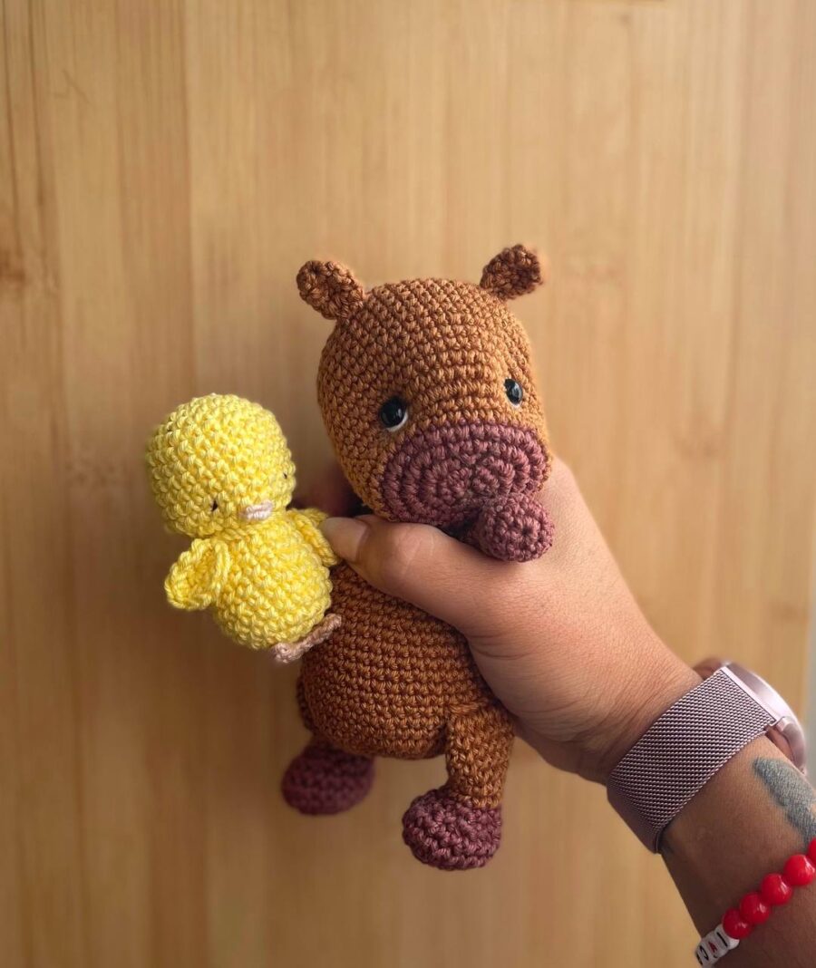 Capibara bebé - Imagen 13
