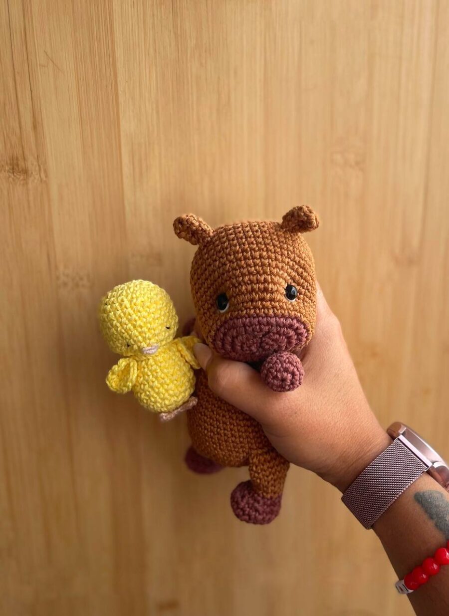 Capibara bebé - Imagen 14