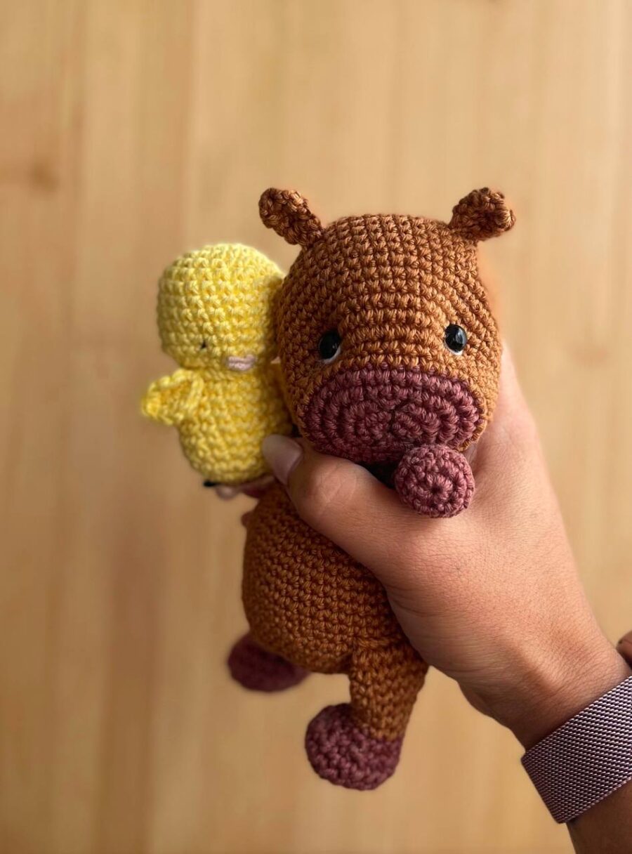 Capibara bebé