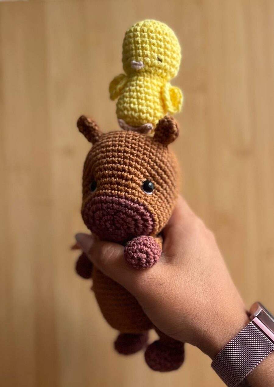 Capibara bebé - Imagen 6